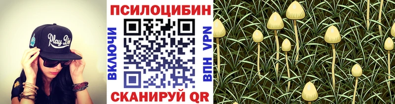 Псилоцибиновые грибы мухоморы shop Telegram Рыльск